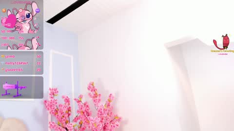 Snapshot of amykord chatting on 01.19.25 Amykord online show from 01.19.25