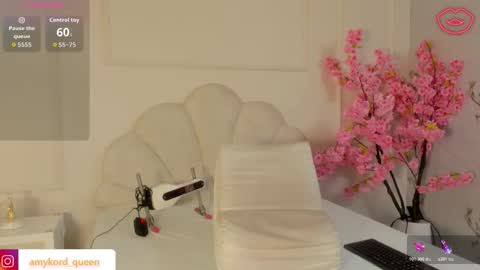 Snapshot of amykord chatting on 11.02.25 Amykord online show from 11.02.25