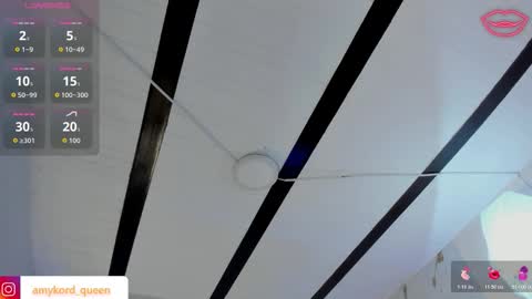 Snapshot of amykord chatting on 11.14.25 Amykord online show from 11.14.25