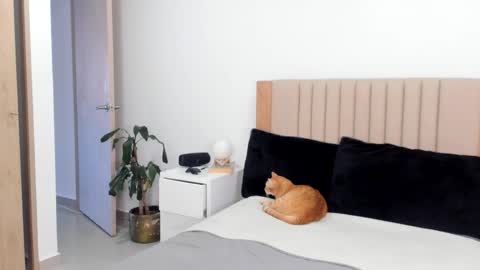 Ana Henao or Annie... Follow me ahenaocb Insta  X online show from 10.25.25