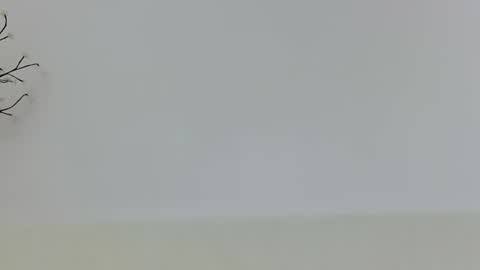 Snapshot of anaid_blaze2 chatting on 11.10.25 anaid_blaze2 online show from 11.10.25