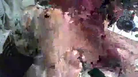 kinkylilanalslut online show from 01.23.25