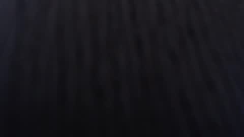   online show from 01.02.25