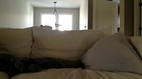 Andees222 online show from 12.19.25