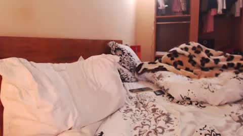 Snapshot of andrasweetie chatting on 01.27.25 Andra online show from 01.27.25