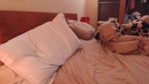 Snapshot of andrasweetie chatting on 02.06.25 Andra online show from 02.06.25