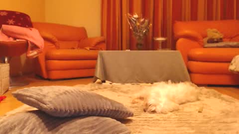 Snapshot of andrasweetie chatting on 12.13.25 Andra online show from 12.13.25