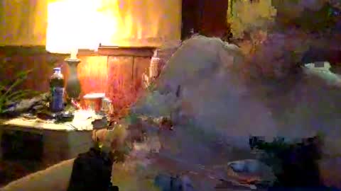 rayray32 online show from 01.09.25