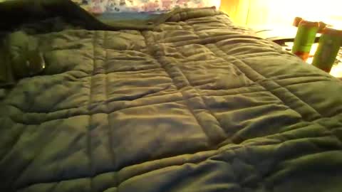 andywan94 online show from 01.20.25