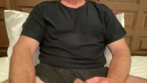 anewsummer online show from 11.11.25