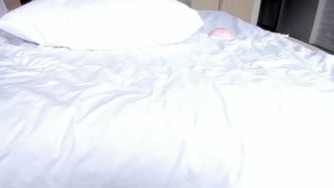 angel_andreww online show from 07.29.26