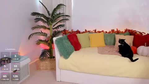 Claire - be back soon online show from 11.14.25