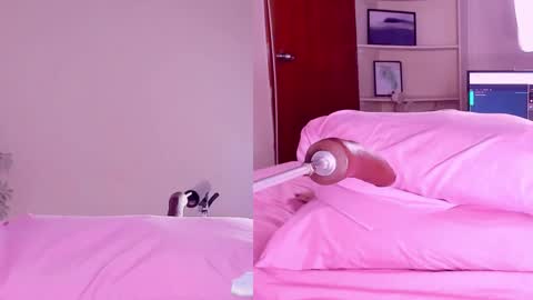 Angeli  online show from 02.18.25