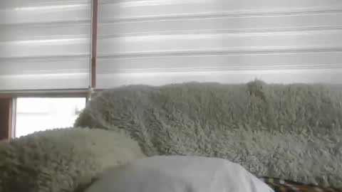 Snapshot of angelps1960 chatting on 02.24.26 angelps1960 online show from 02.24.26