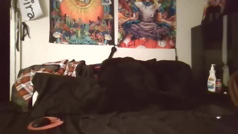 Angel and Mark online show from 02.08.26