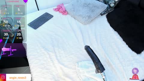 angiee roses online show from 01.23.25