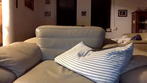 Snapshot of animal_michael chatting on 12.29.24 animal_michael online show from 12.29.24