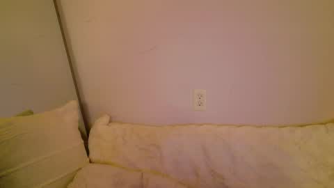 meow online show from 11.08.25