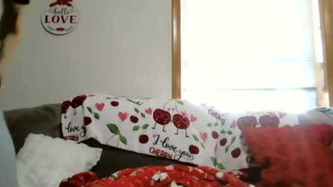 Snapshot of anne12369 chatting on 01.05.26 anne online show from 01.05.26