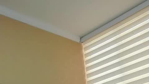       online show from 03.05.26