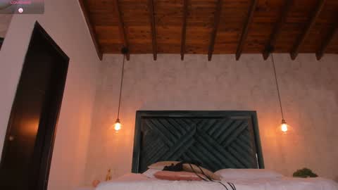 Snapshot of anne_mallow chatting on 01.21.25 Ann online show from 01.21.25