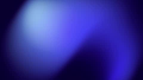 Ann online show from 04.27.26