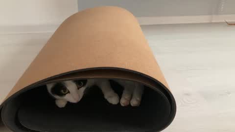 Snapshot of anntics_ chatting on 10.12.25 N antics online show from 10.12.25