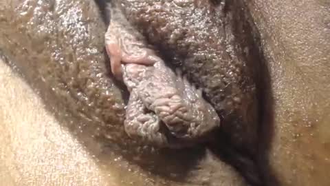 Anny online show from 12.21.25