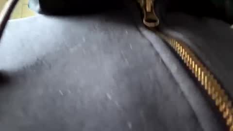 Snapshot of anonomousloser chatting on 01.06.25 anonomousloser online show from 01.06.25