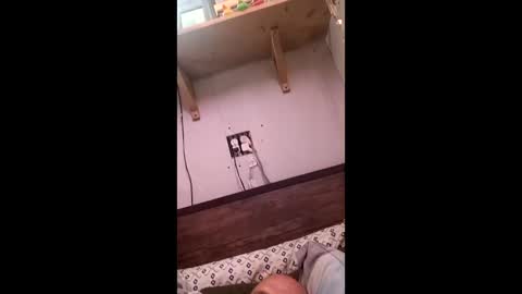 anthony9168 online show from 03.25.26