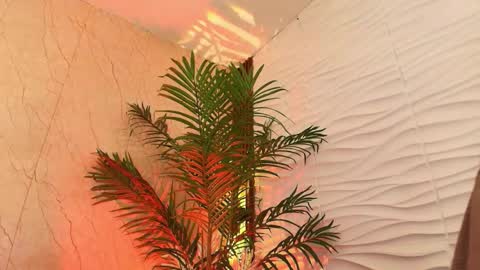 anton__monacu online show from 11.25.25