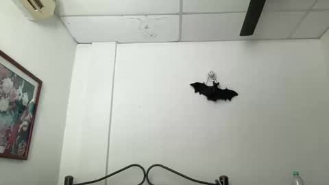 Snapshot of antoniabloom chatting on 12.05.24 Antonia online show from 12.05.24