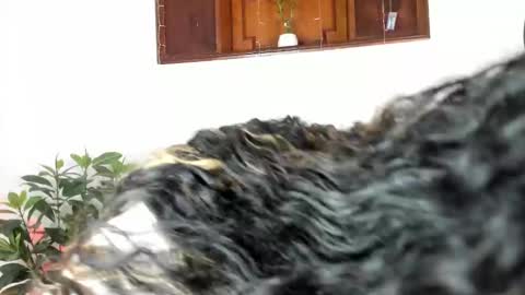 Antonia online show from 03.07.25