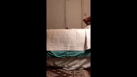 antonino85 online show from 03.19.26