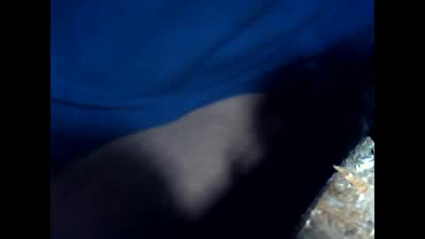 antxon12 online show from 04.15.26