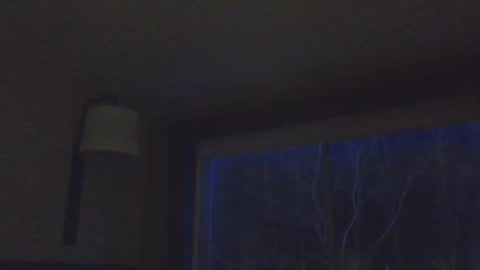 Daddy online show from 11.15.25