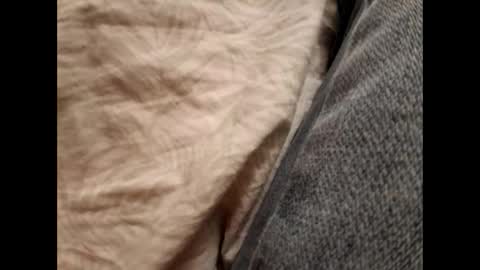 Daddy online show from 11.17.25