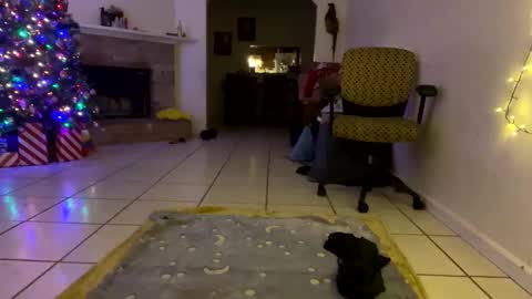 AnnaApril420 online show from 12.25.24