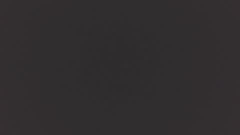 hairycub online show from 12.04.24