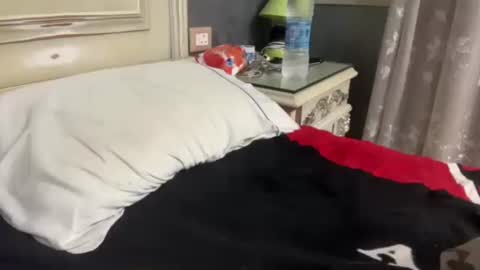 Egyptian Man online show from 01.29.25