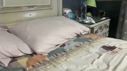 Egyptian Man online show from 09.23.25