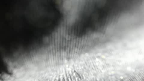 Arantza Hill online show from 06.17.26