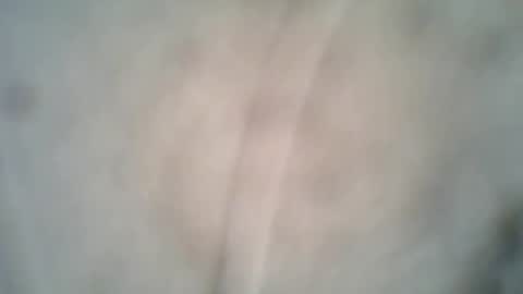 olo online show from 10.08.25