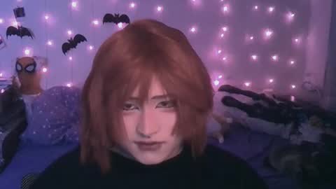 Snapshot of ari_corn chatting on 03.01.25 Ahri online show from 03.01.25