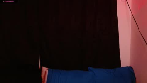 Snapshot of aria_dark994 chatting on 11.01.25 sammi online show from 11.01.25