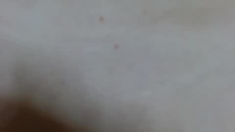 Ariana lvarez online show from 02.02.25