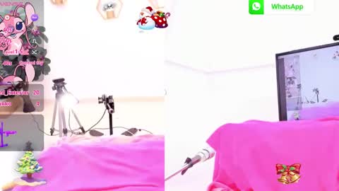 Snapshot of ariana_girl_ chatting on 12.29.24 ariana girl online show from 12.29.24