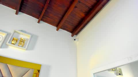  ARI  online show from 12.02.25