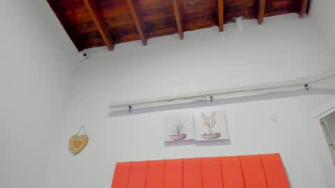  ARI  online show from 12.18.25