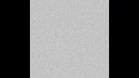 Arianna Collins online show from 02.19.26